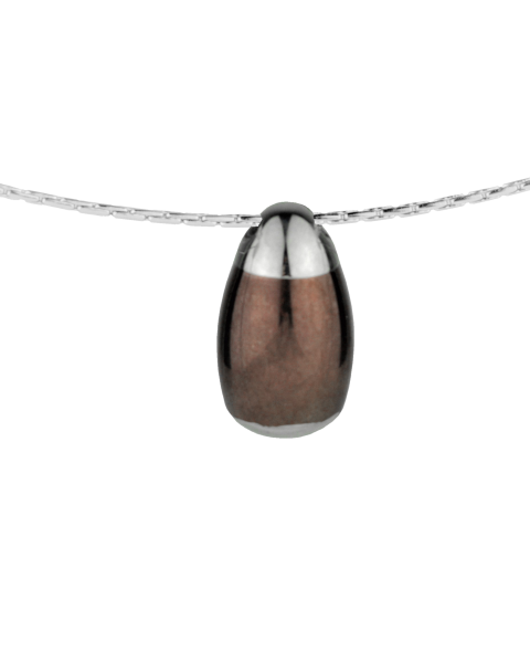 Acorn