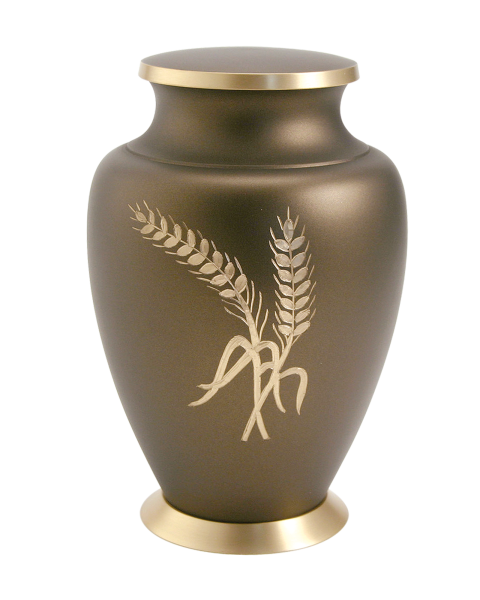 Aria Wheat